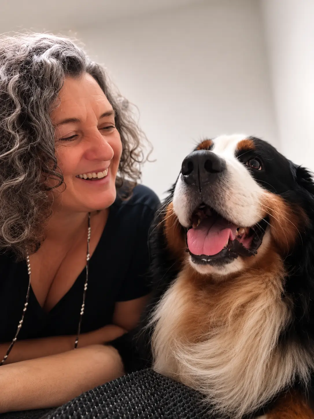 Carmen rindo com um bernese